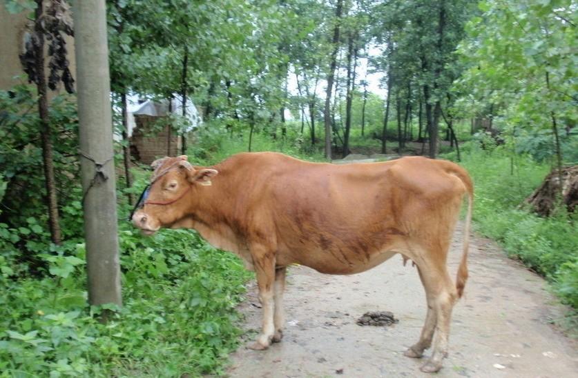 详细阅读:宣威最新求一个套医保卡的黄牛是真的吗方法分析(最方便真实的宣威求一个套医保卡的黄牛是真的吗还是假的方法) 宣威最新求一个套医保卡的黄牛是真的吗方法分析(最方便真实的宣威求一个套医保卡的黄牛是真的吗还是假的方法)